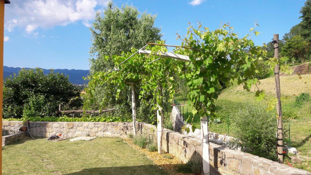 Pocitniska Hisa Pension Dobravlje Buitenkant foto
